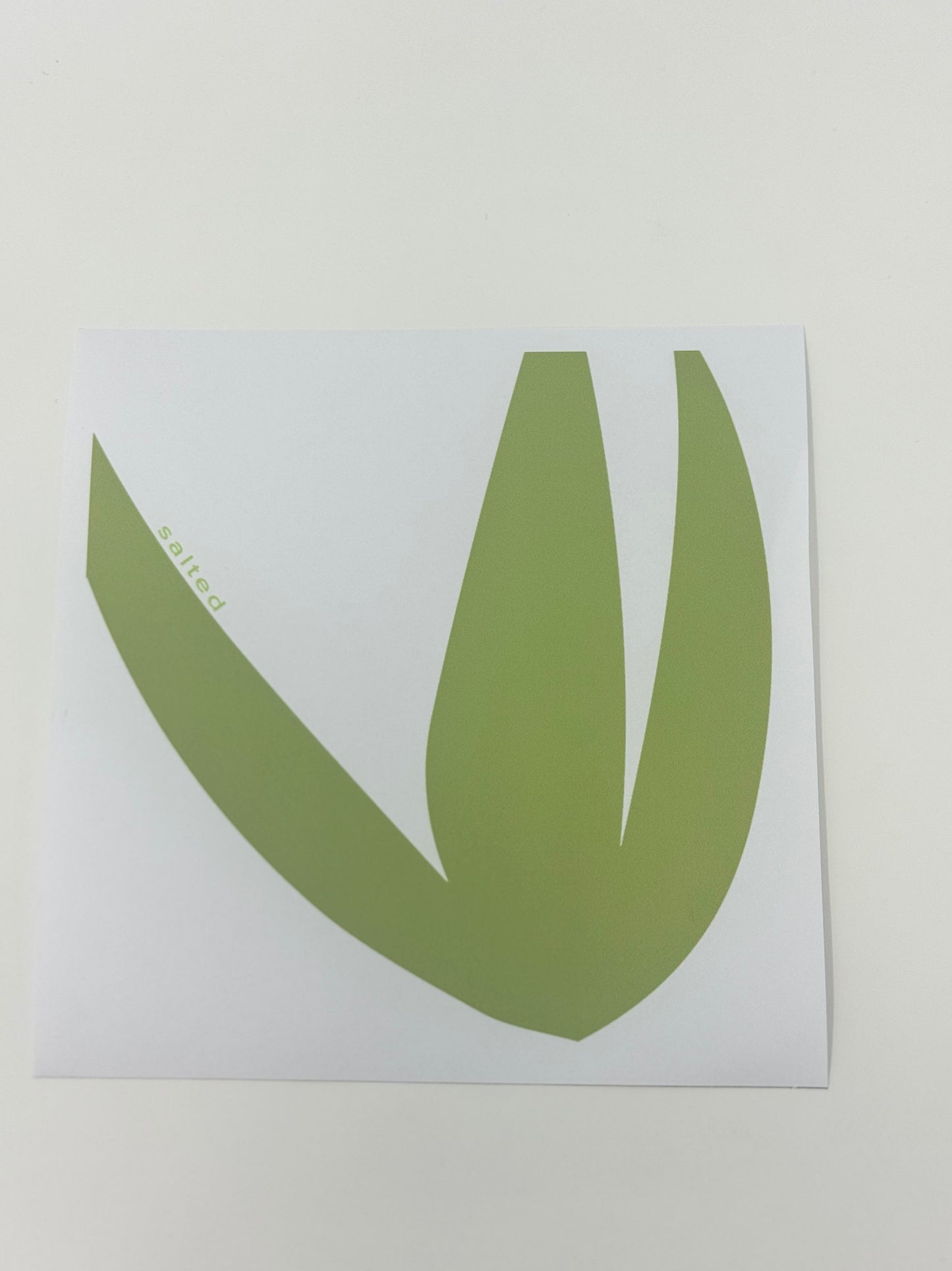 Haven Coaster (Set of 4)