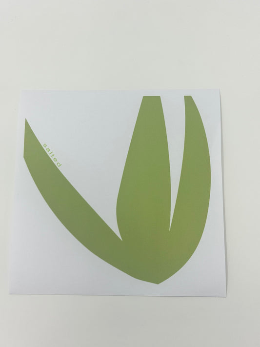 Haven Coaster (Set of 4)