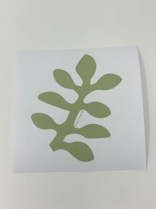 Secret Garden Coaster (Set of 4)