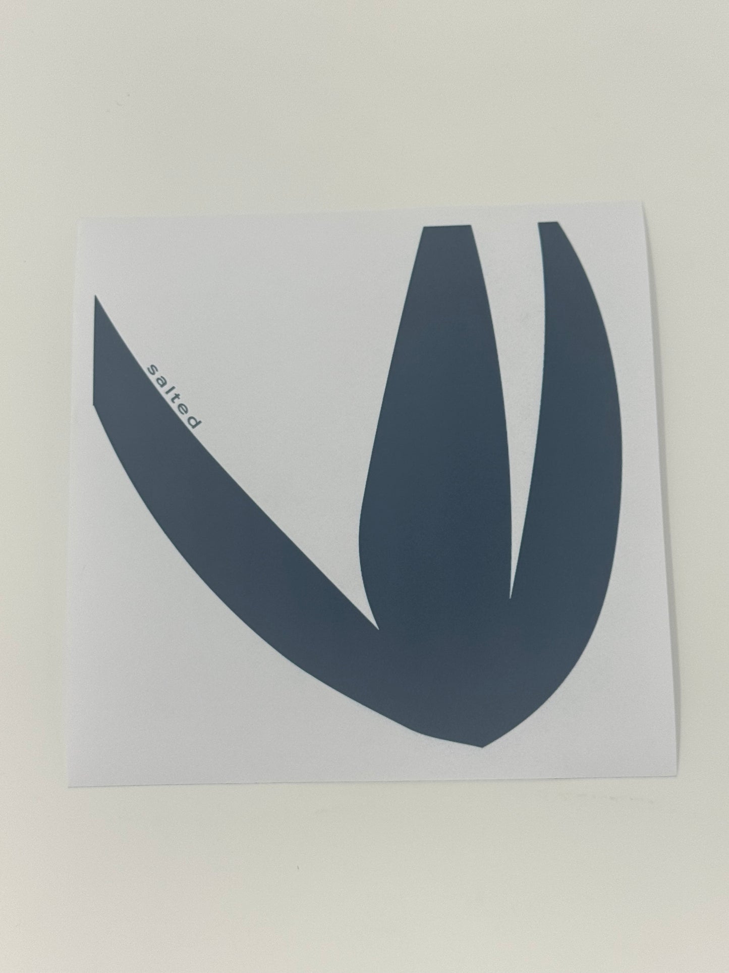 Haven Coaster (Set of 4)