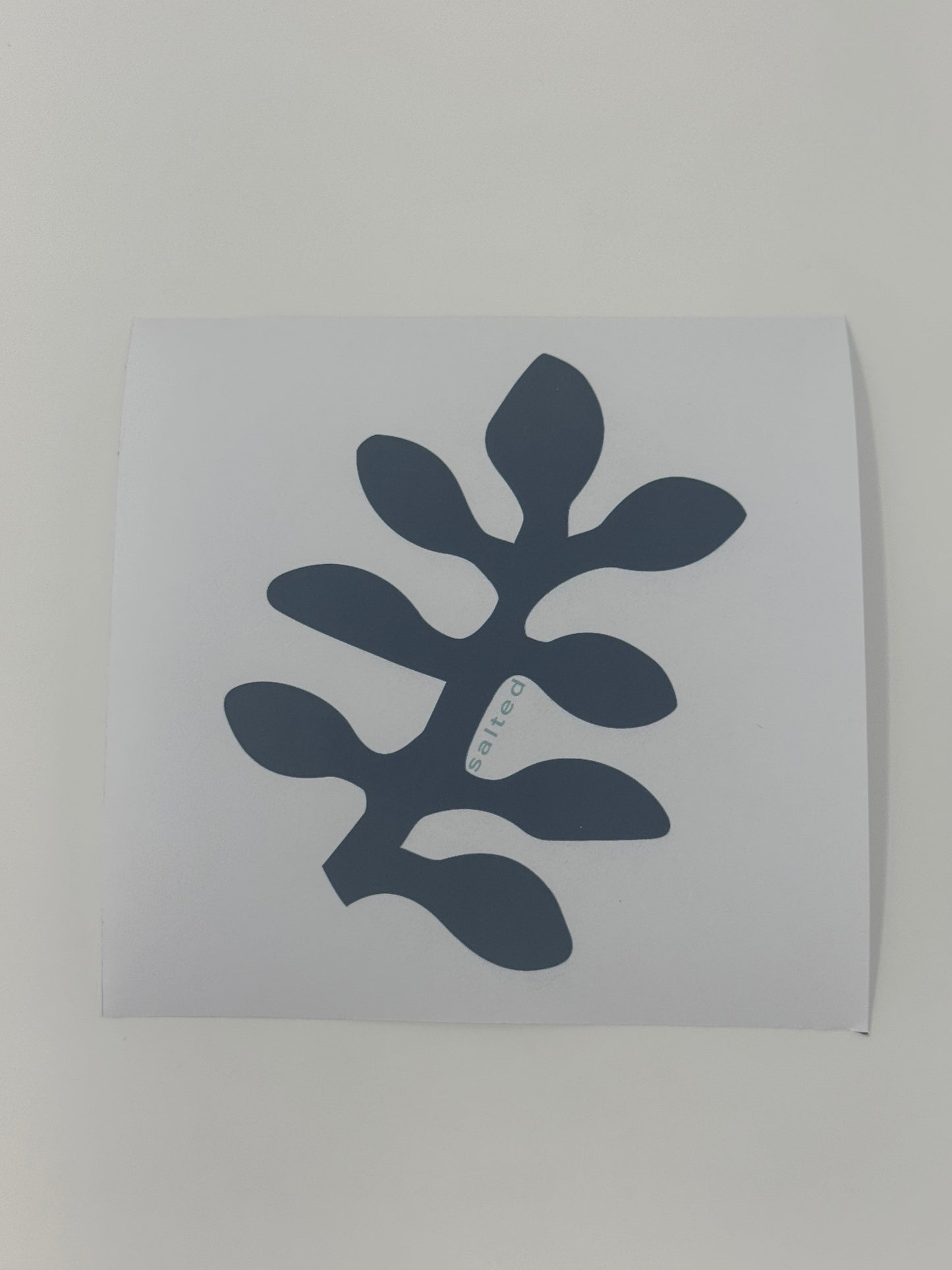 Secret Garden Coaster (Set of 4)