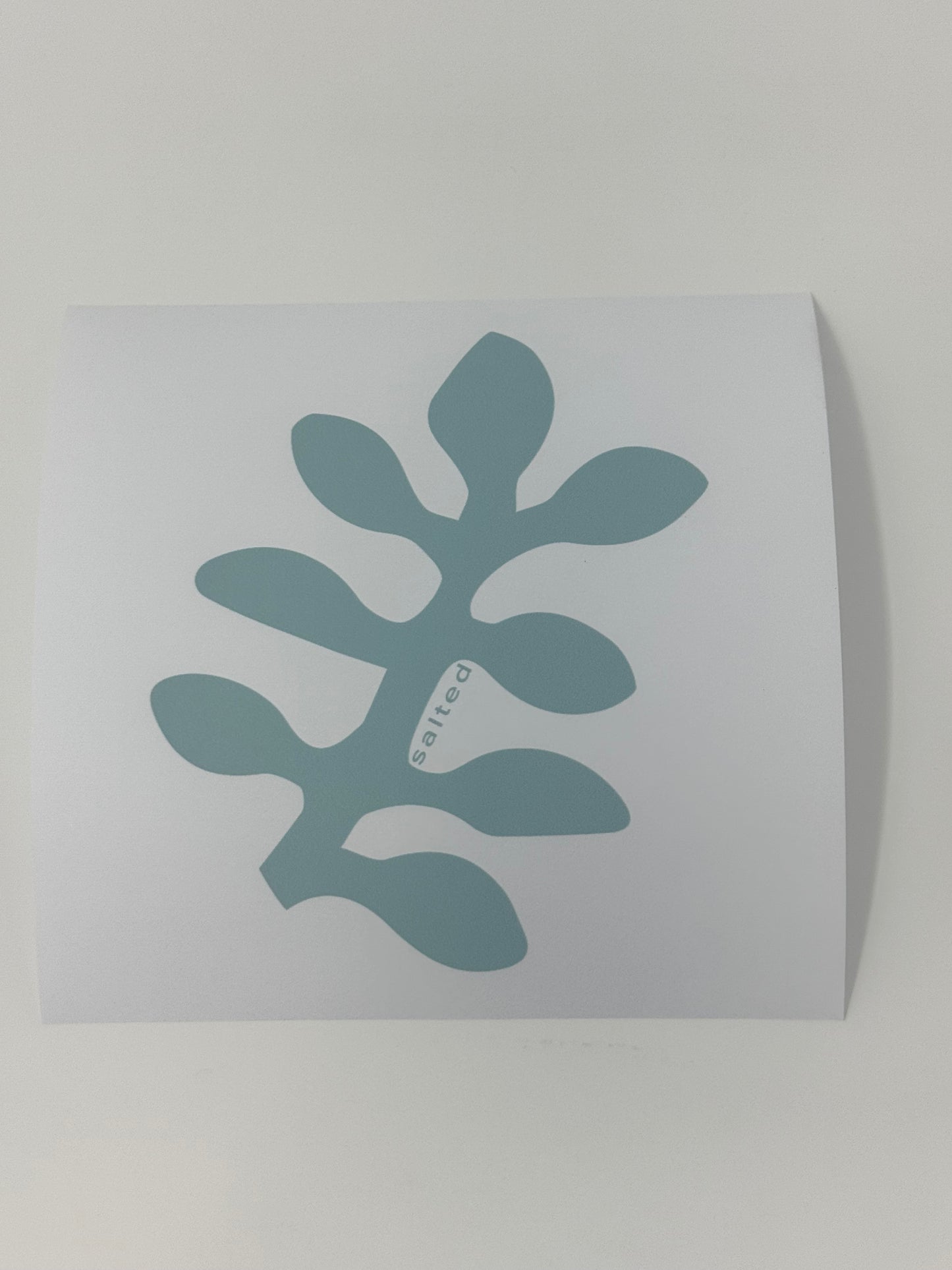 Secret Garden Coaster (Set of 4)