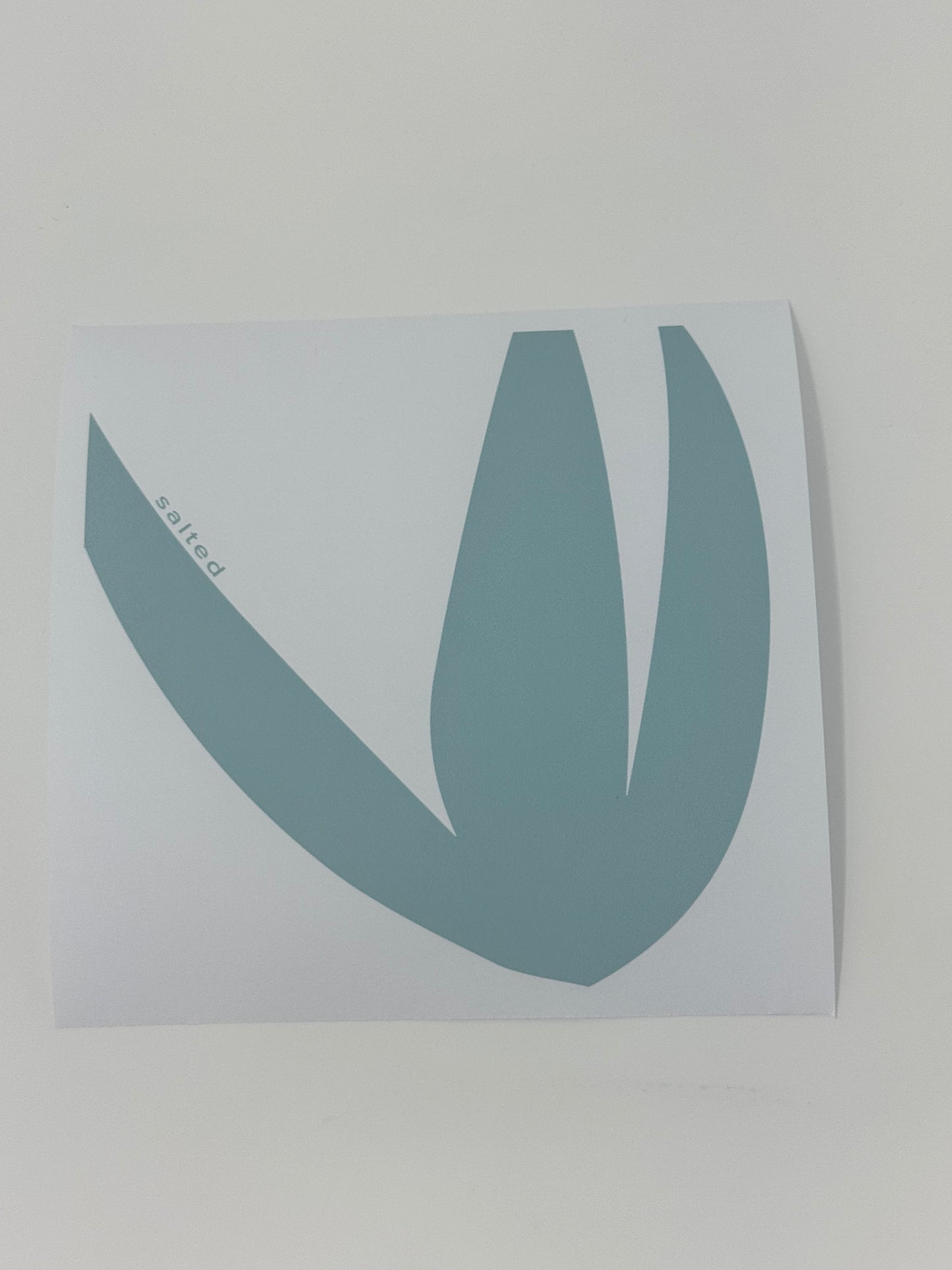 Haven Coaster (Set of 4)