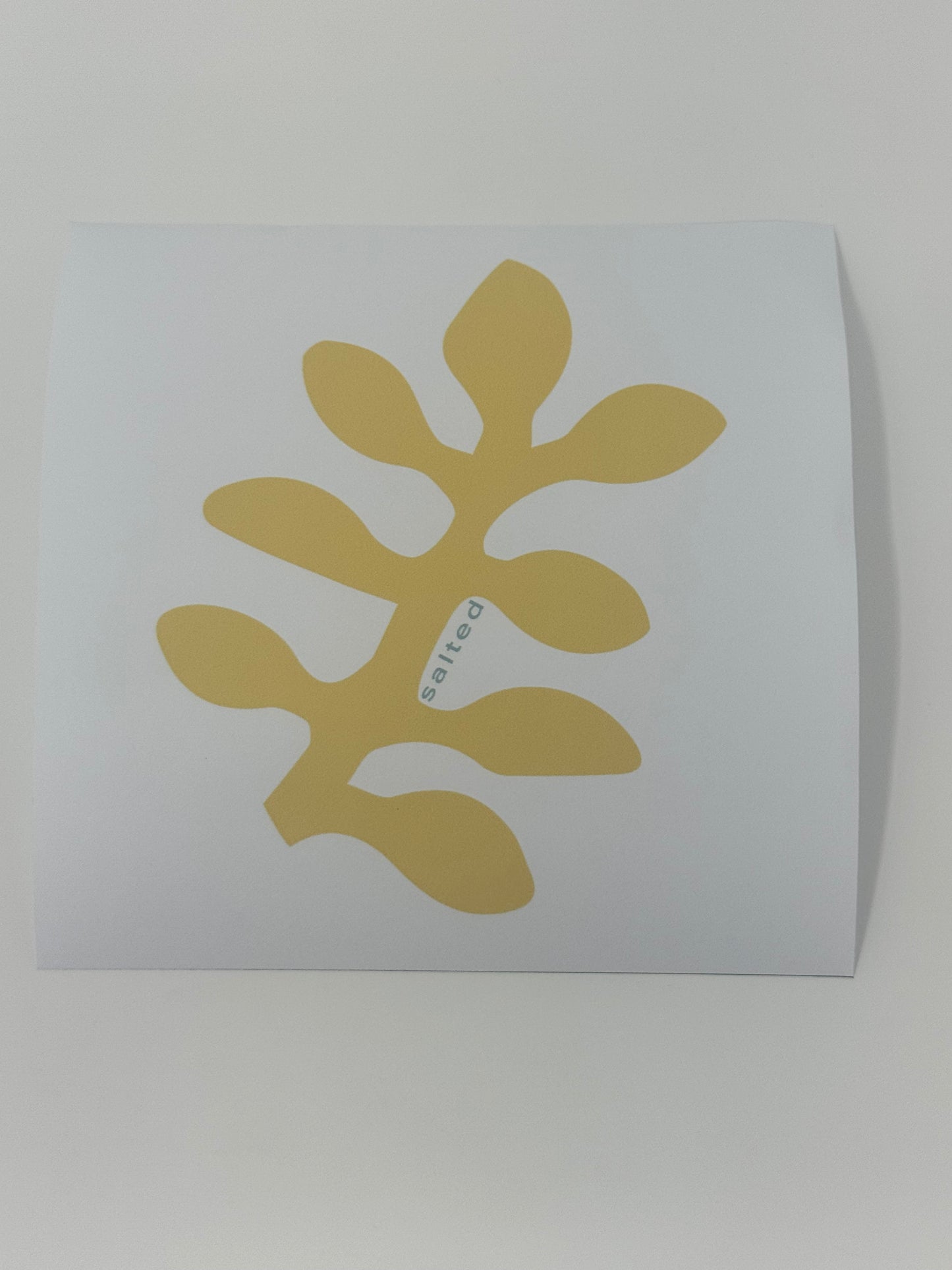 Secret Garden Coaster (Set of 4)
