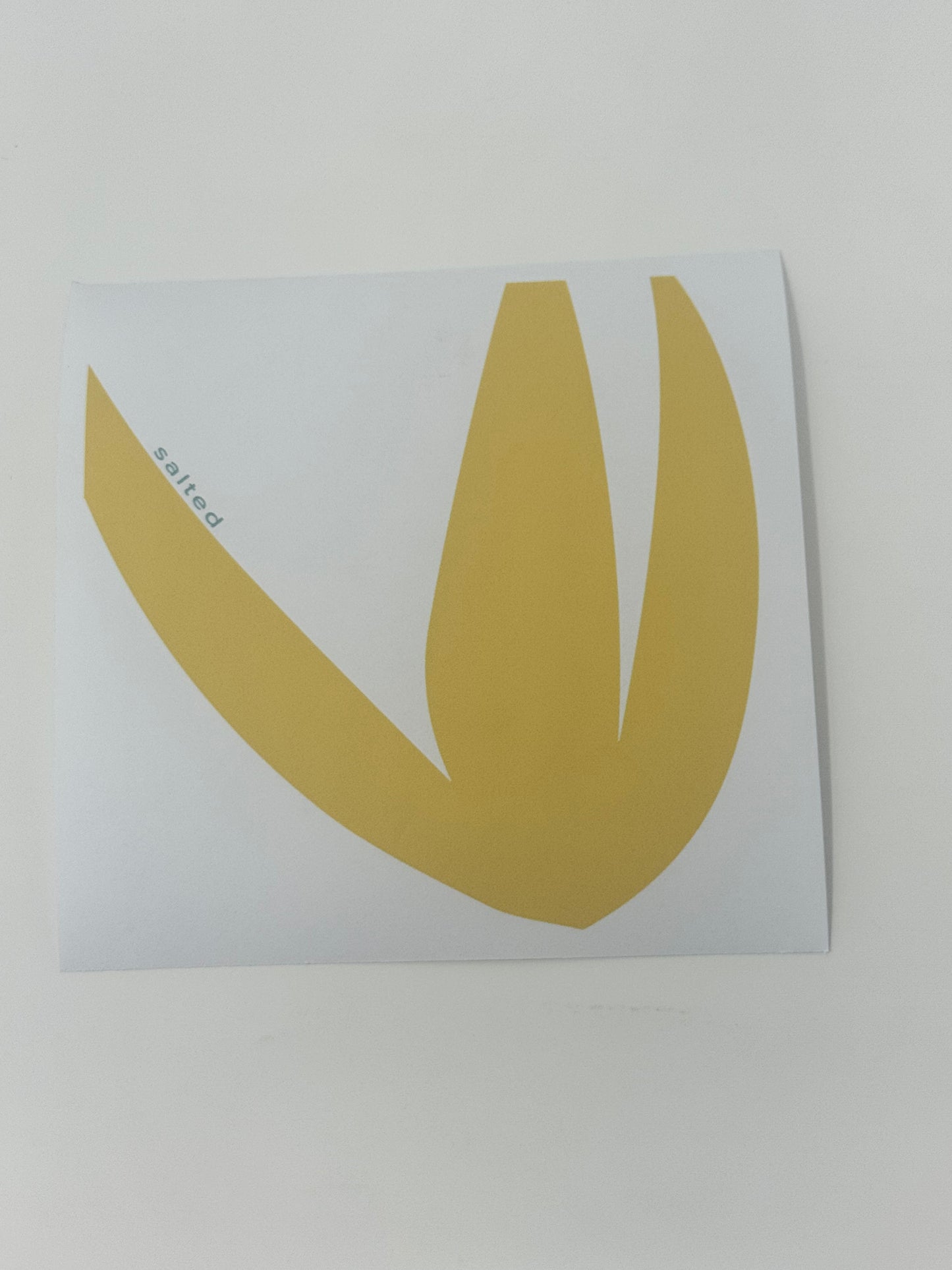Haven Coaster (Set of 4)